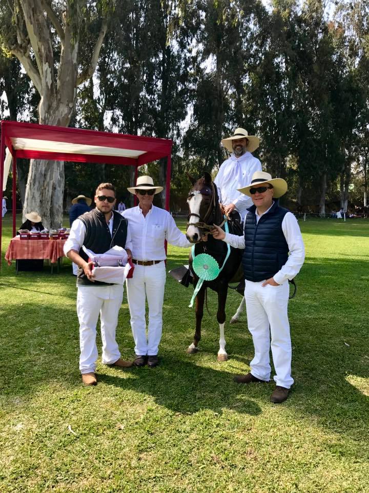 22154560_784468075066322_2742857077537752166_n